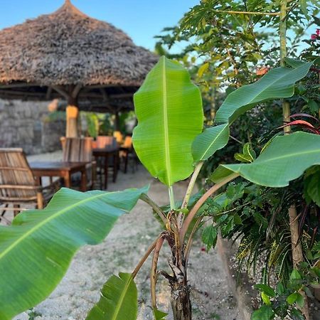 Mbuyuni Lodge Nungwi Eksteriør billede